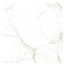 Porcelanato Carrara 61x61